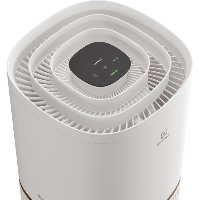 Electrolux - Deguonies oro valytuvas - EPO50571SW