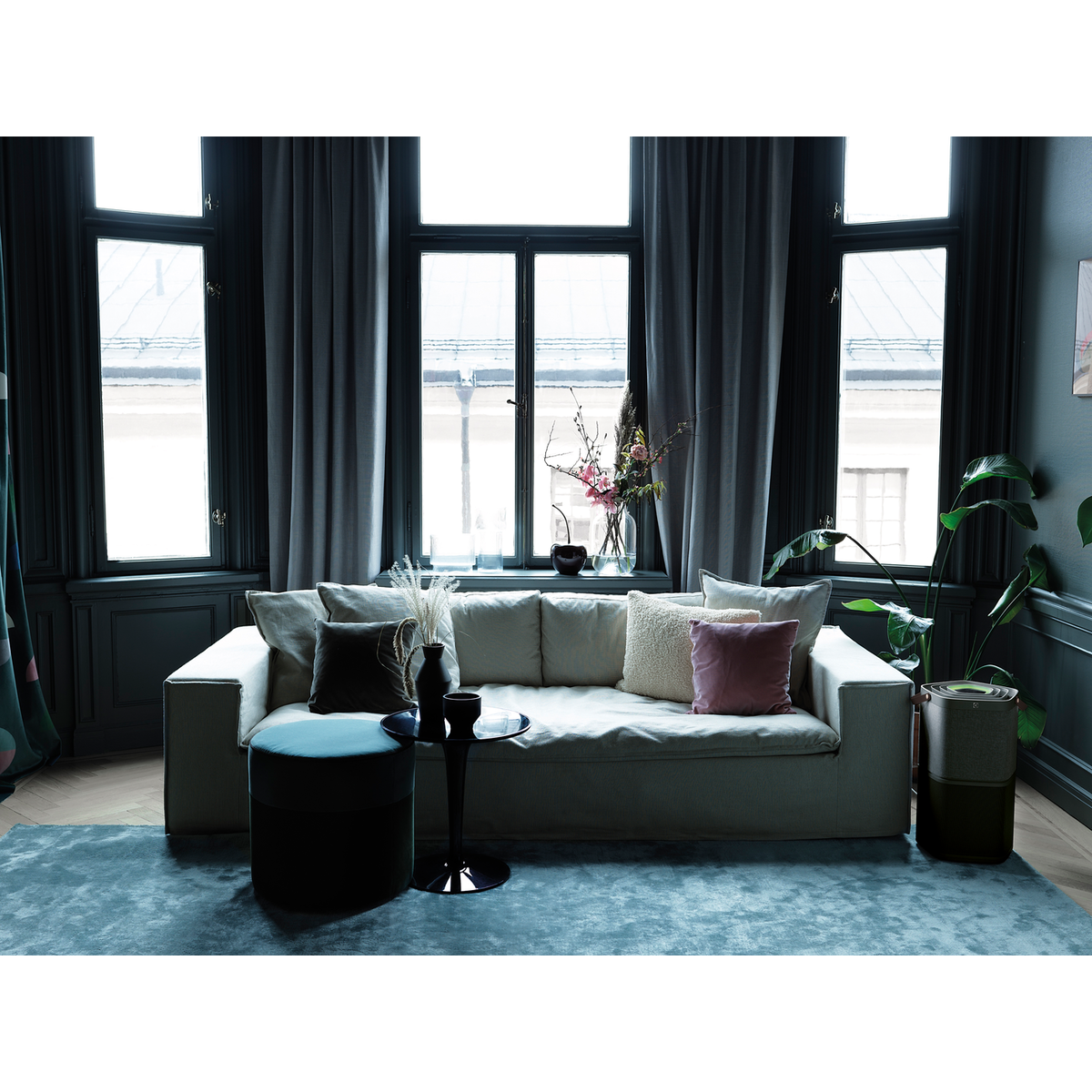 Electrolux - Deguonies oro valytuvas - PA91-404DG