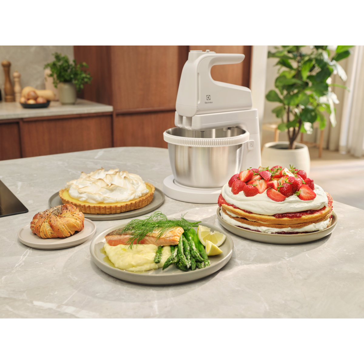 Electrolux - Plaktuvas - ESM4W