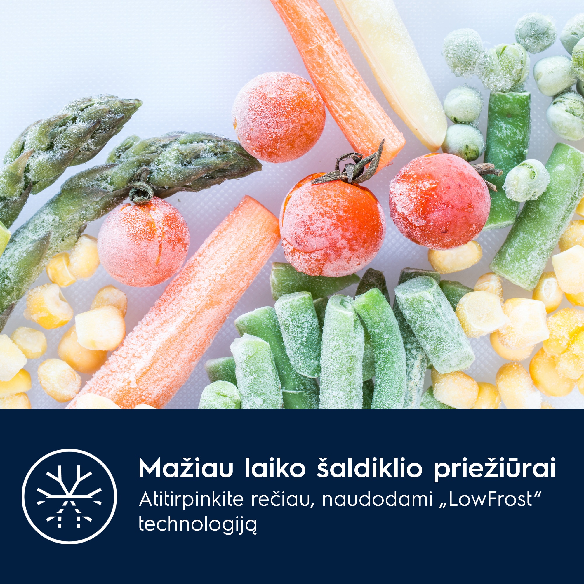 Electrolux - Montuojamas šaldytuvas su šaldikliu - LNS5LE18S