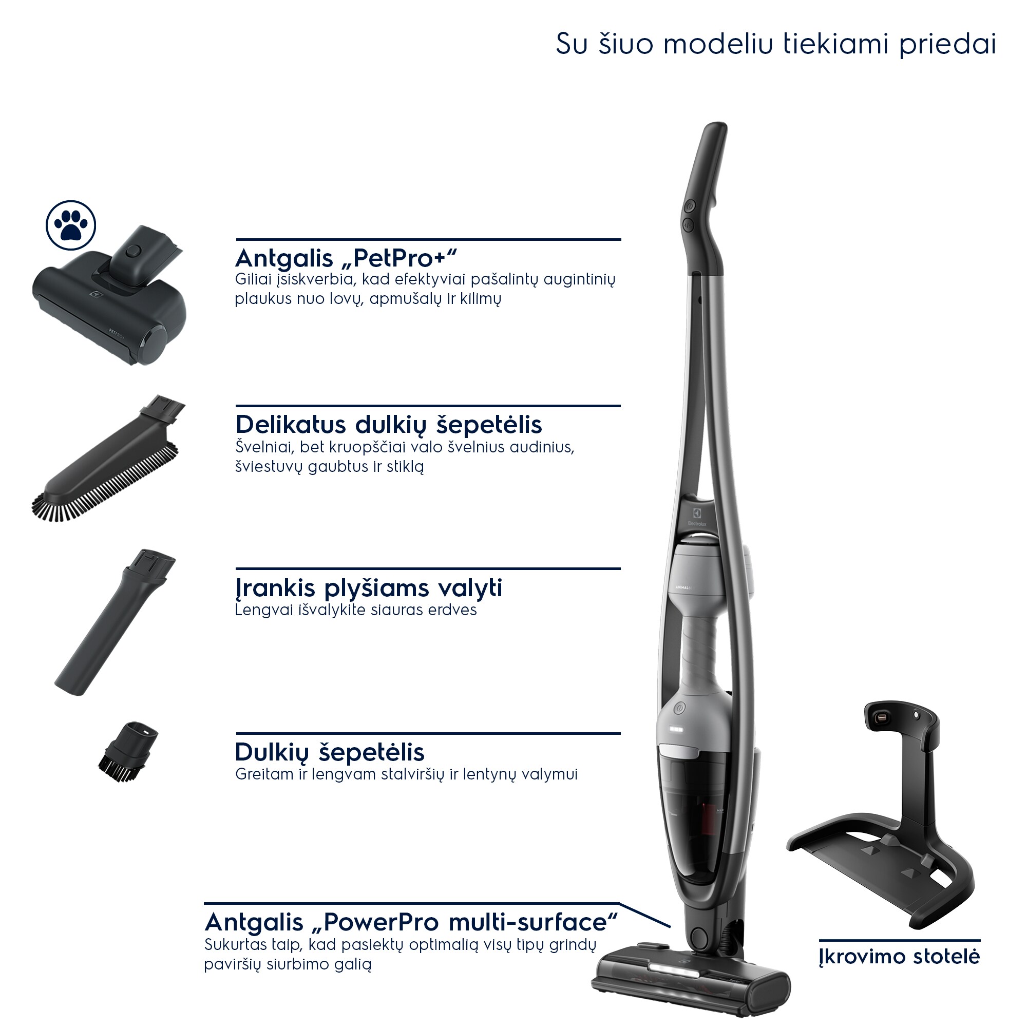 Electrolux - Belaidis dulkių siurblys - ES62AB25UG