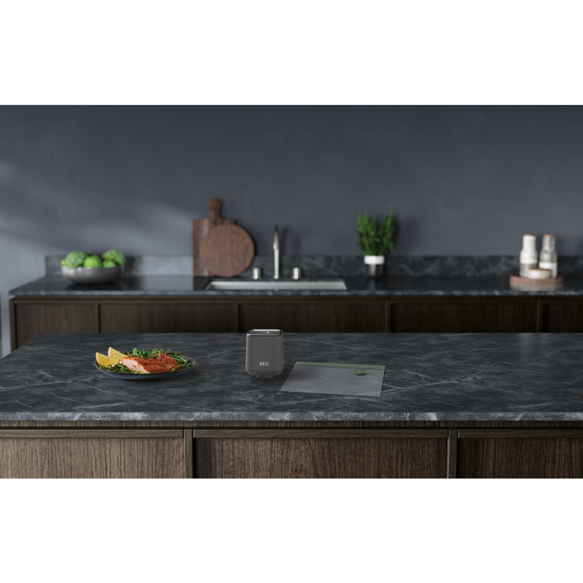 Electrolux - Vakuumatorius - EVRB1