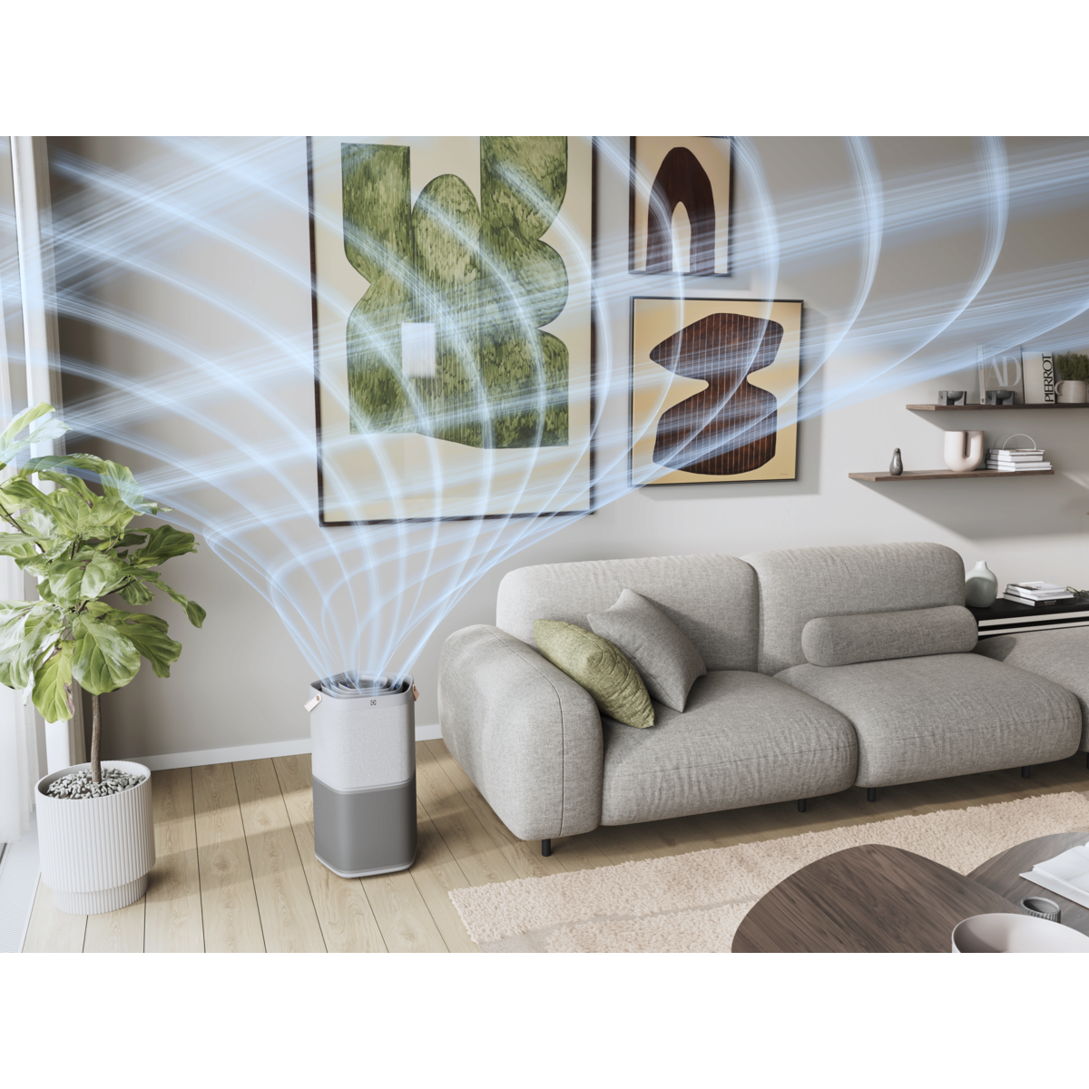 Electrolux - Deguonies oro valytuvas - EPO60571UG