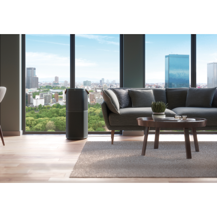 Electrolux - Deguonies oro valytuvas - PA91-604DG