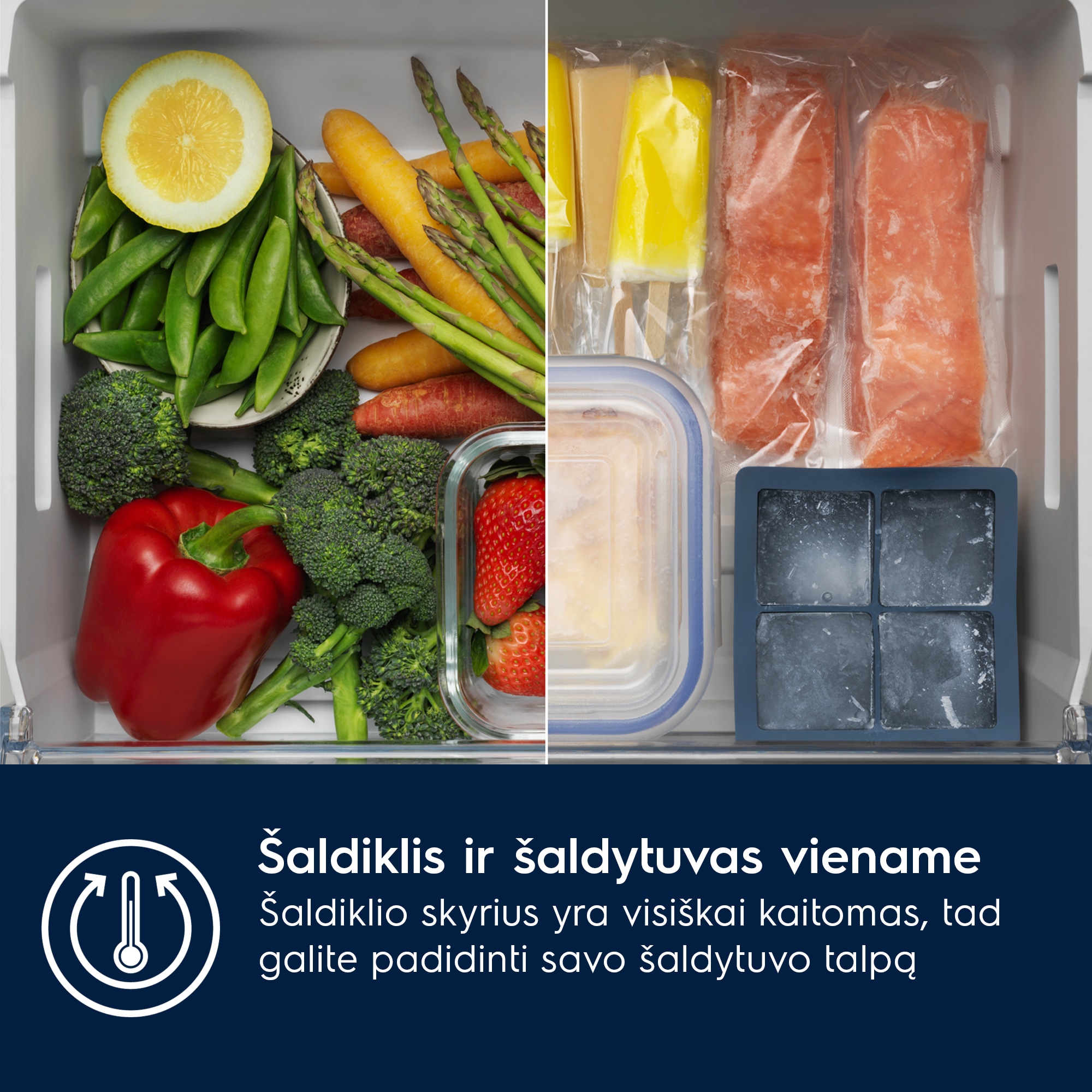Electrolux - Montuojamas šaldytuvas su šaldikliu - ENC8MD19S