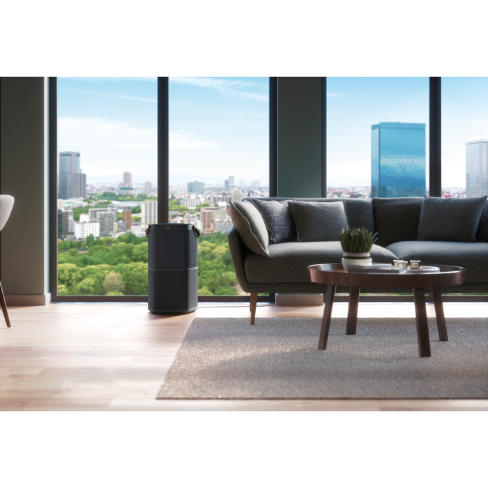 Electrolux - Deguonies oro valytuvas - PA91-404DG
