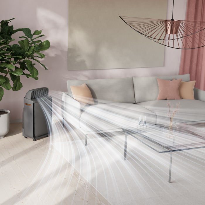 Electrolux - Deguonies oro valytuvas - EPU73771DG