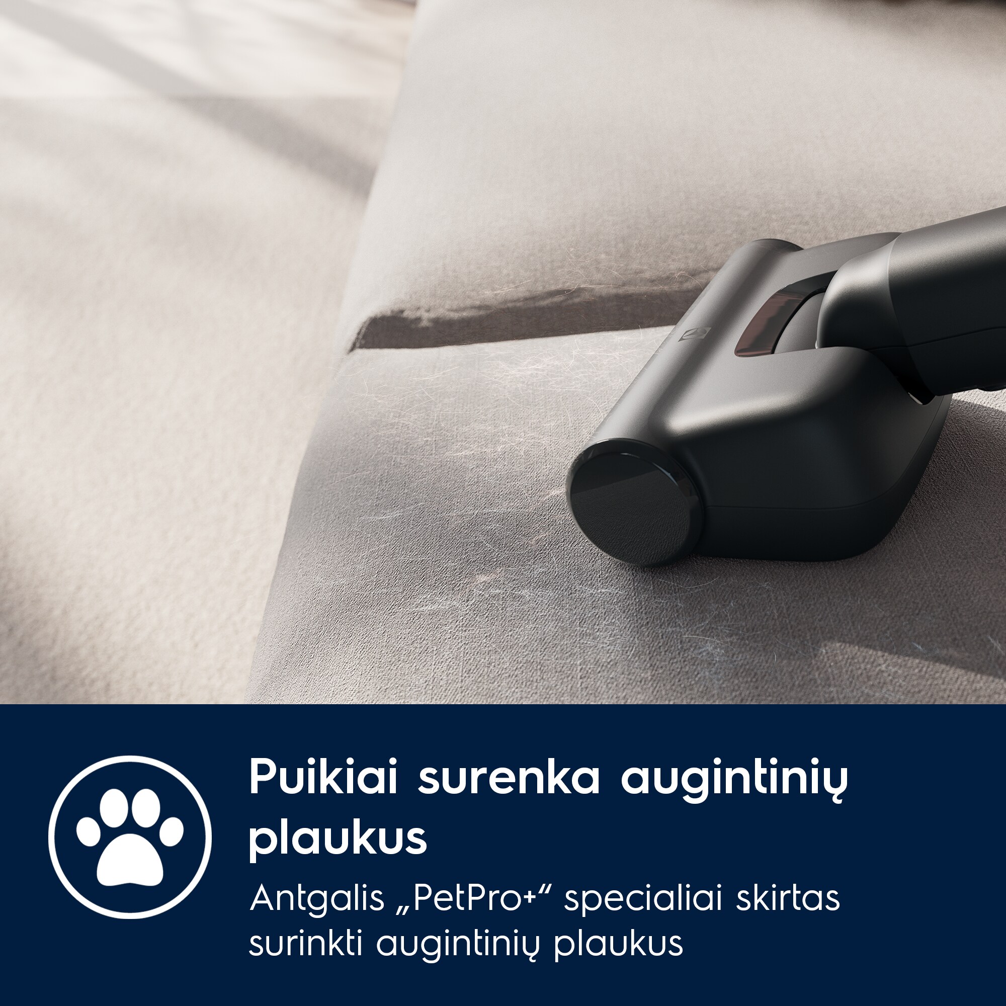 Electrolux - Belaidis dulkių siurblys - EP71AB14UG