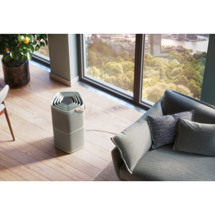 Electrolux - Deguonies oro valytuvas - PA91-404GY