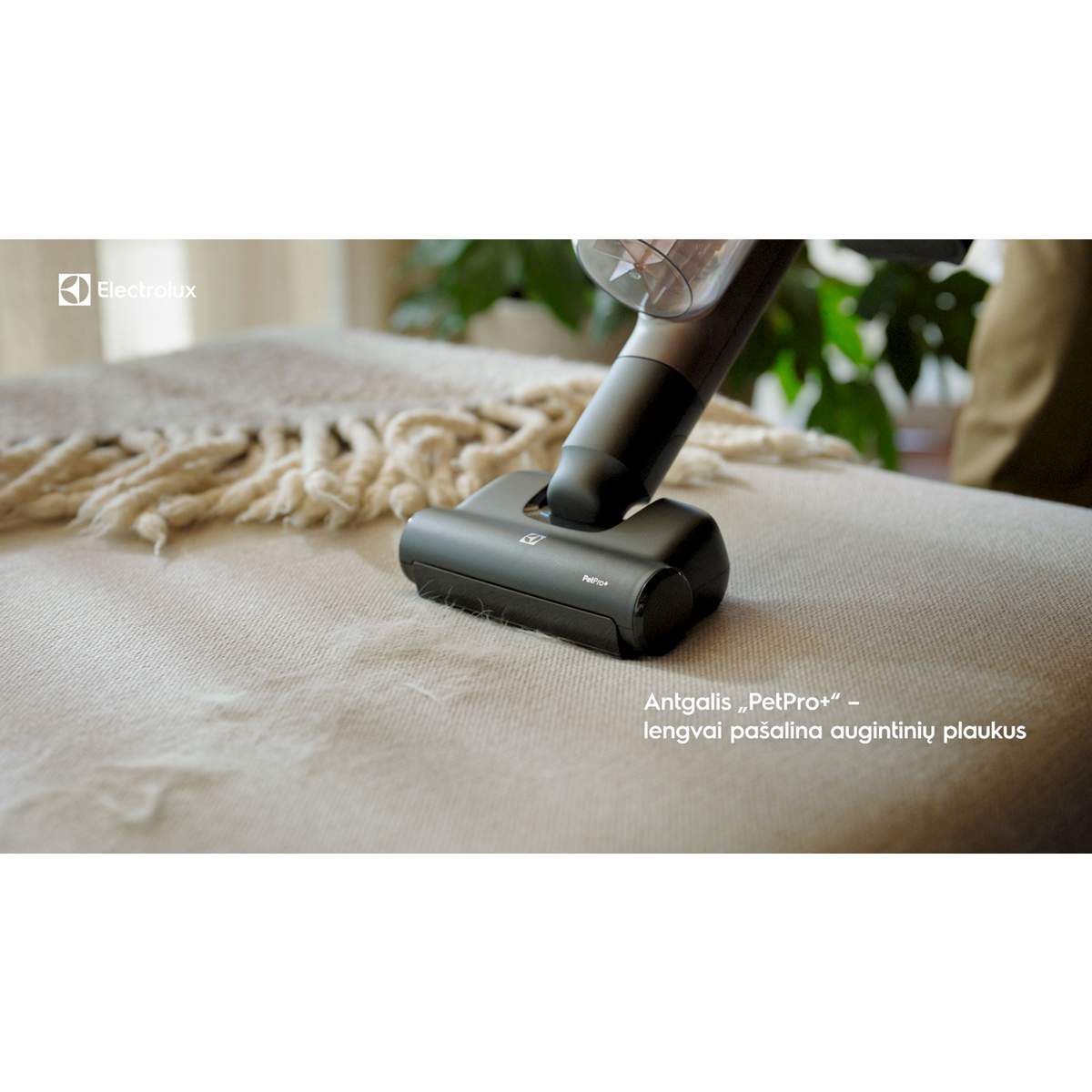 Electrolux - Antgalis - ZE155