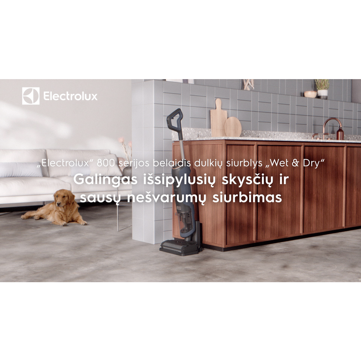 Electrolux - Wet&Dry/ Plaunantis dulkių siurblys - EW81U3DB