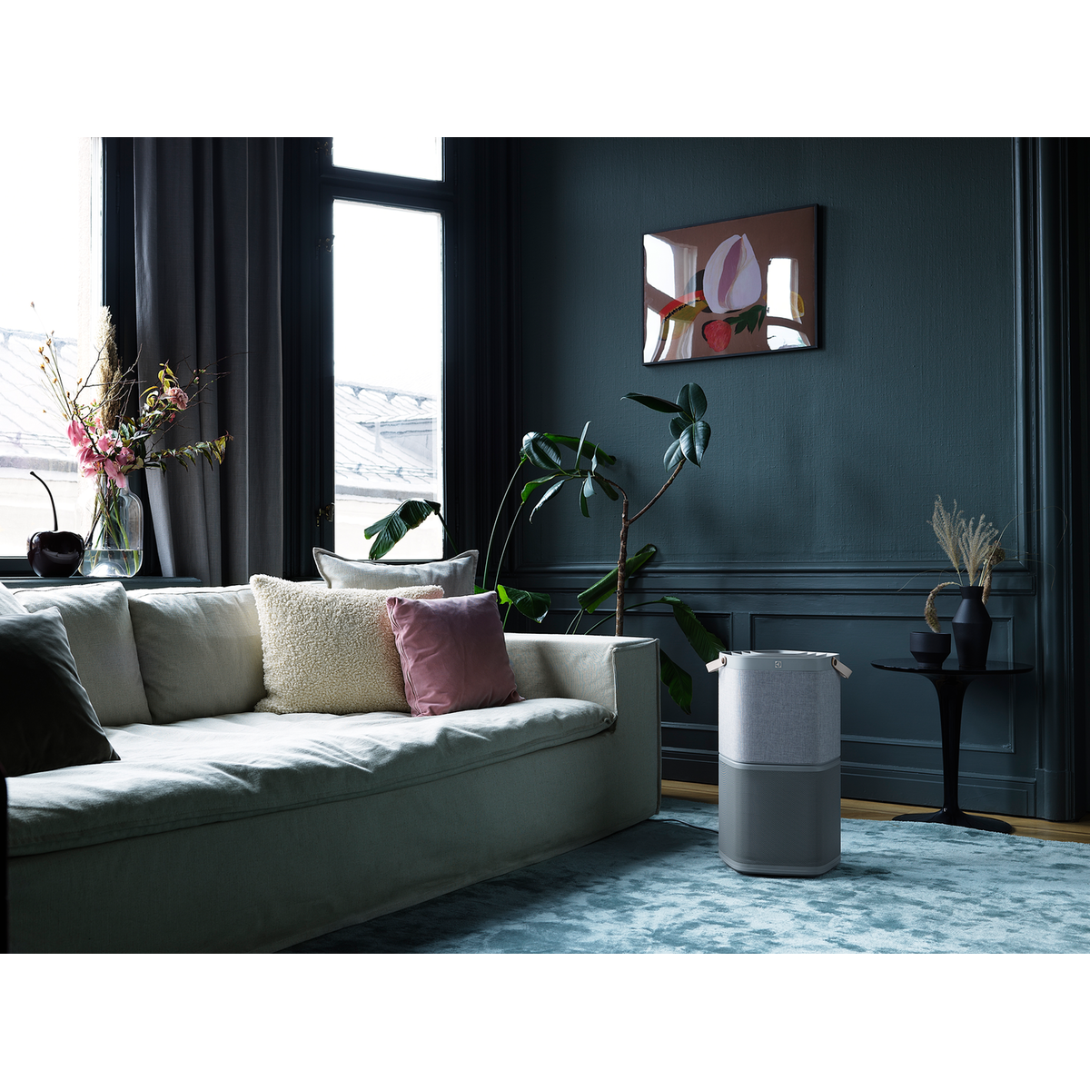 Electrolux - Deguonies oro valytuvas - PA91-604GY