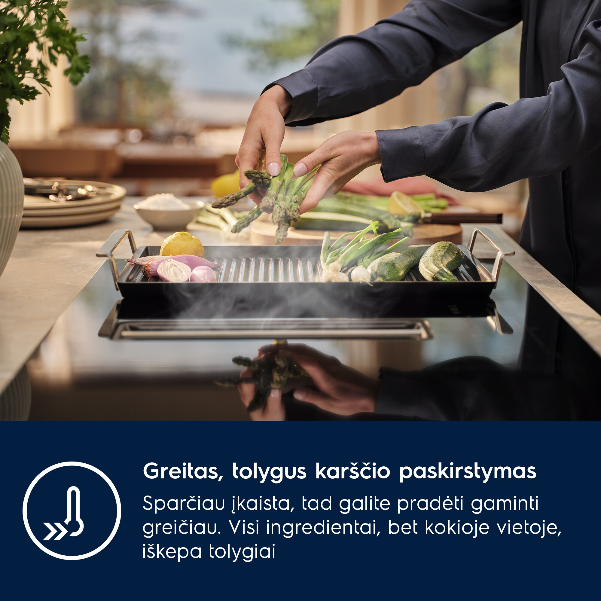 Electrolux - Grilis "Plancha" - E9HHPG11