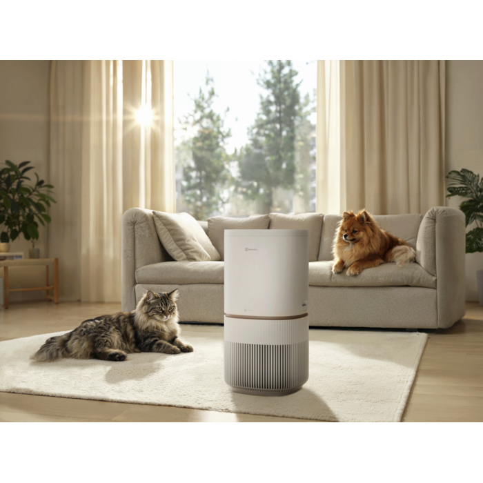 Product in a room environment 