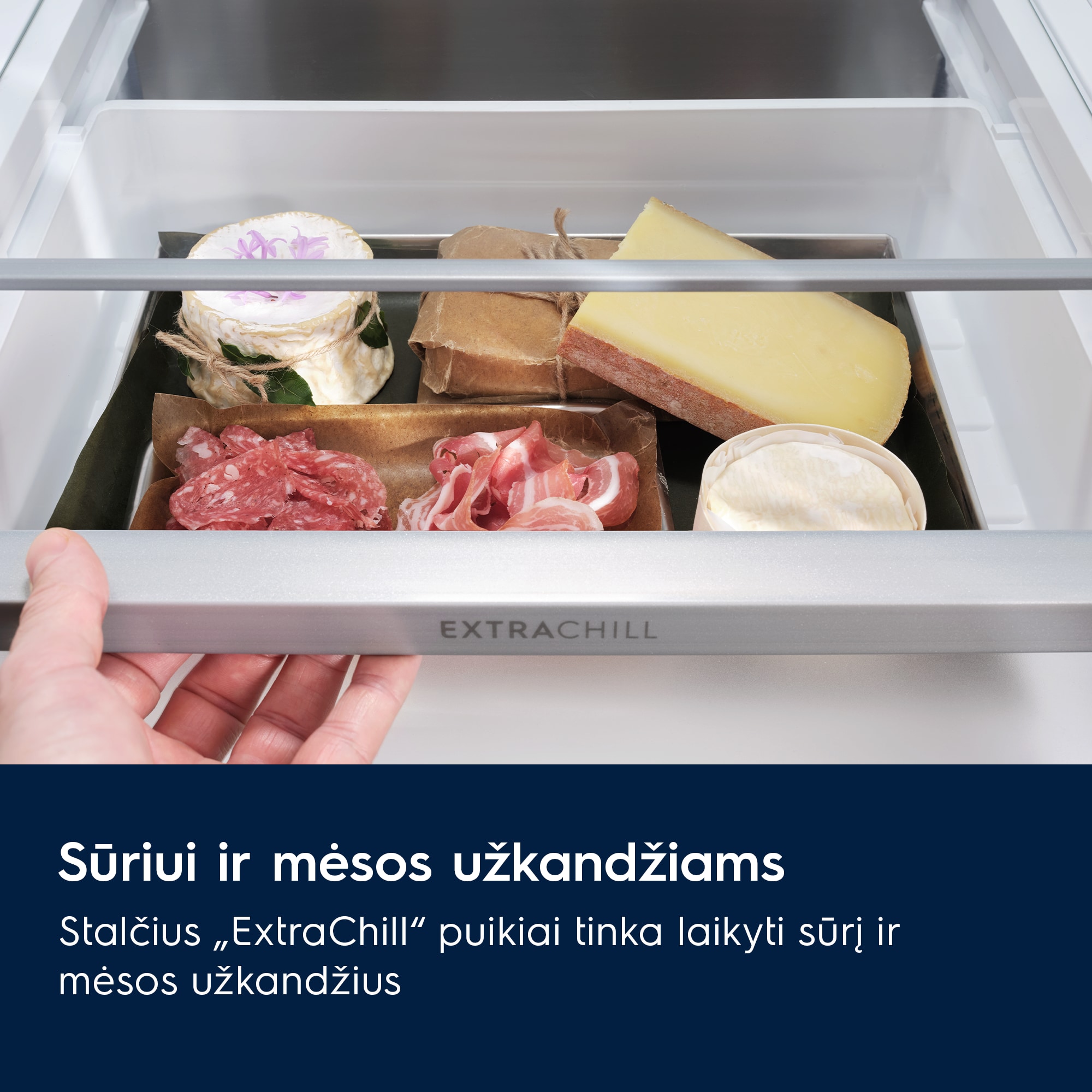 Electrolux - Laisvai pastatomas šaldytuvas su šaldikliu - LNT7ME32M2