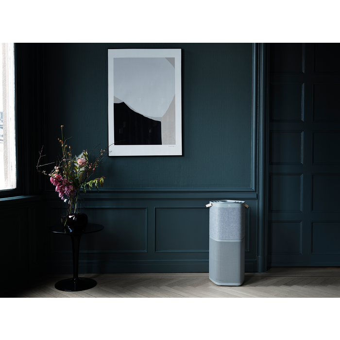 Electrolux - Deguonies oro valytuvas - PA91-404GY