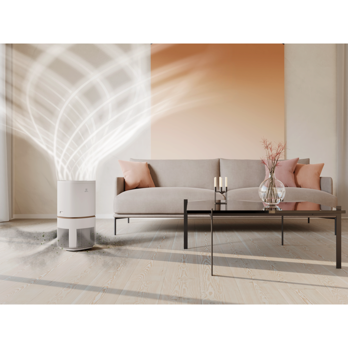 Electrolux - Deguonies oro valytuvas - EPO50571SW