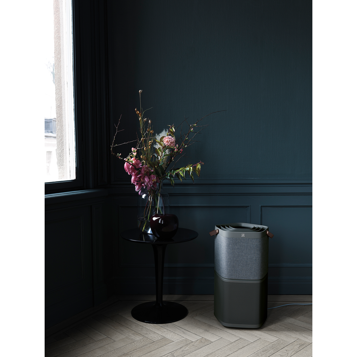 Electrolux - Deguonies oro valytuvas - PA91-404DG