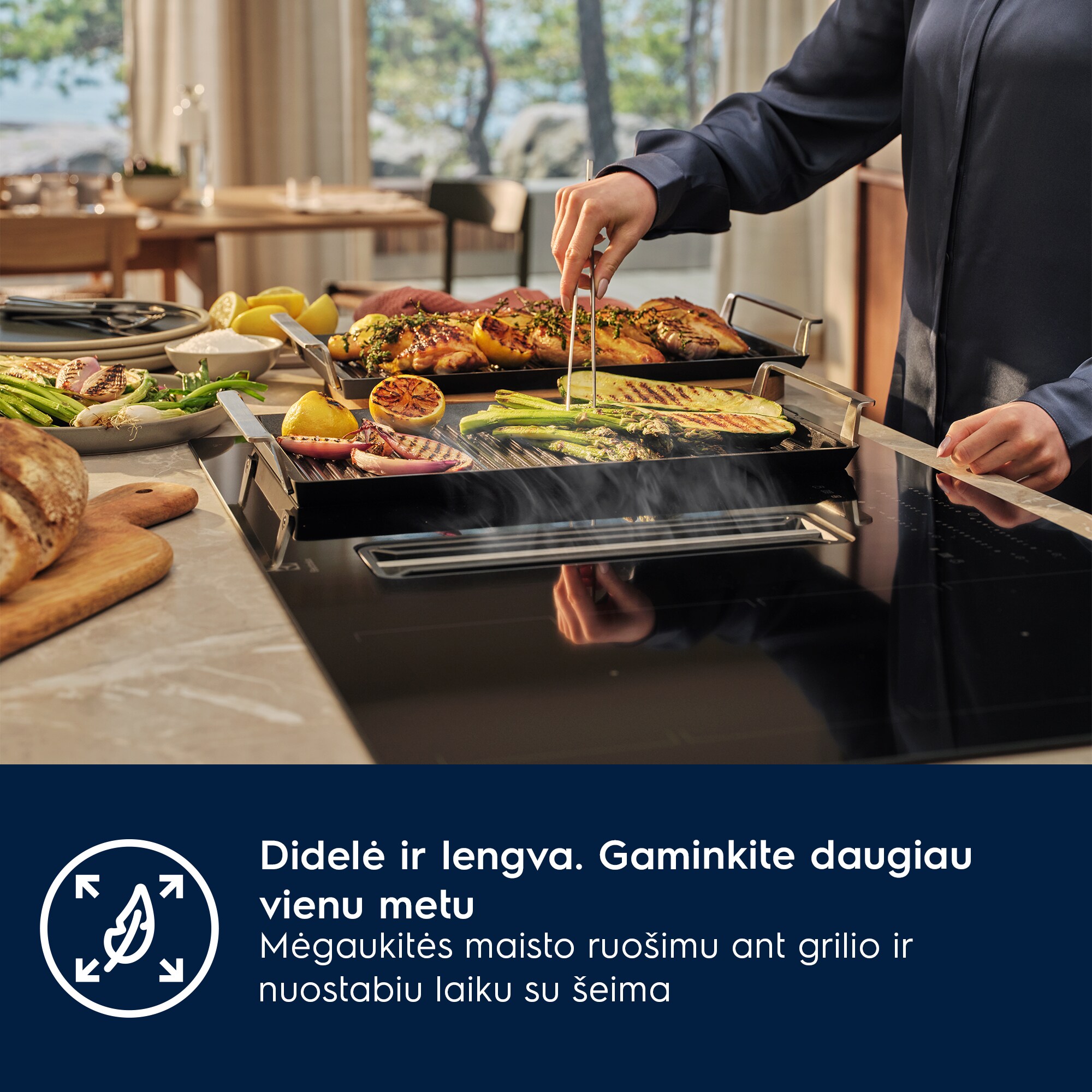 Electrolux - Grilis "Plancha" - E9HHPG11
