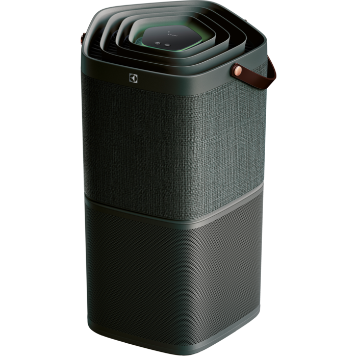 Electrolux - Deguonies oro valytuvas - PA91-404DG