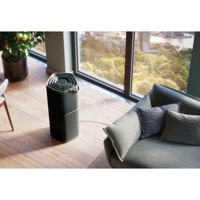 Electrolux - Deguonies oro valytuvas - PA91-604DG