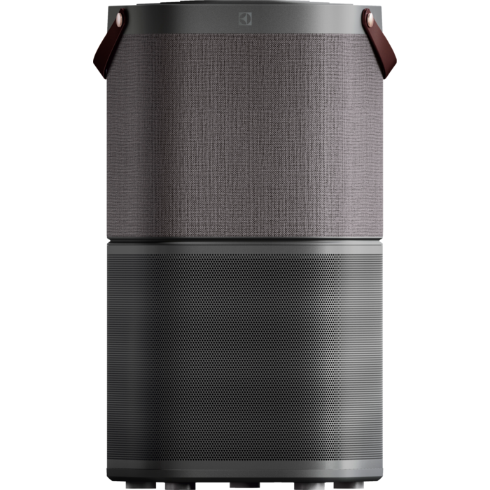 Electrolux - Deguonies oro valytuvas - PA91-404DG