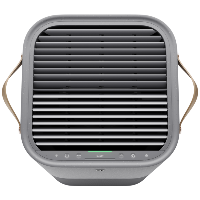 Electrolux - Deguonies oro valytuvas - EPU93171UG