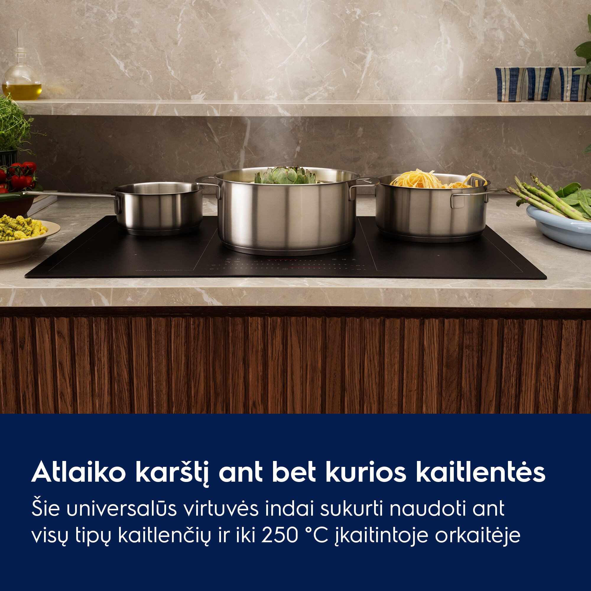 Atlaiko karštį ant bet kurios kaitlentės Šie universalūs virtuvės indai sukurti naudoti ant visų tipų kaitlenčių ir iki 250 °C įkaitintoje orkaitėje