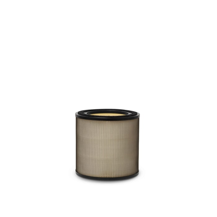 Electrolux - Air Purifier - EFFBTH2