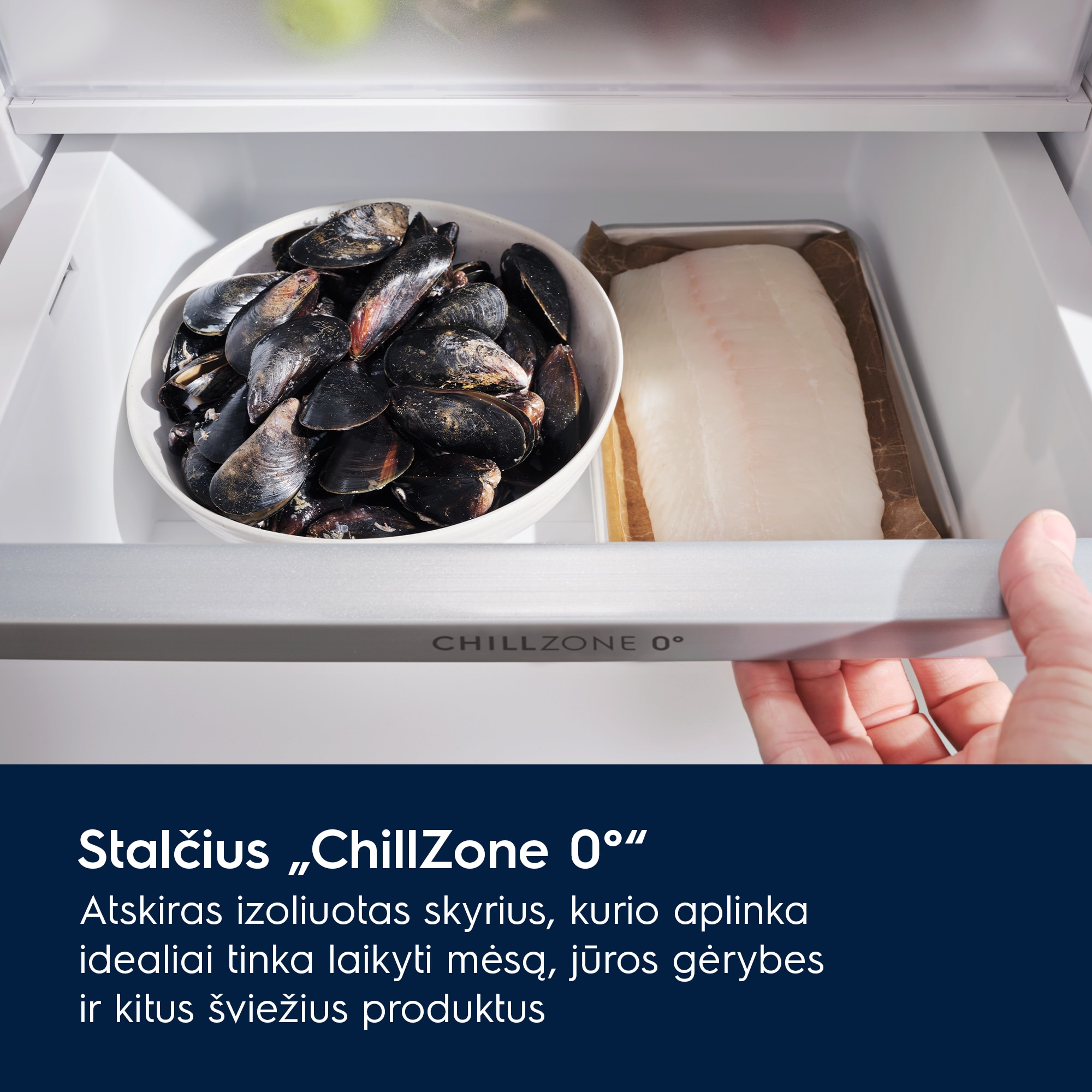 Electrolux - Laisvai pastatomas šaldytuvas su šaldikliu - ELT9VE52U0