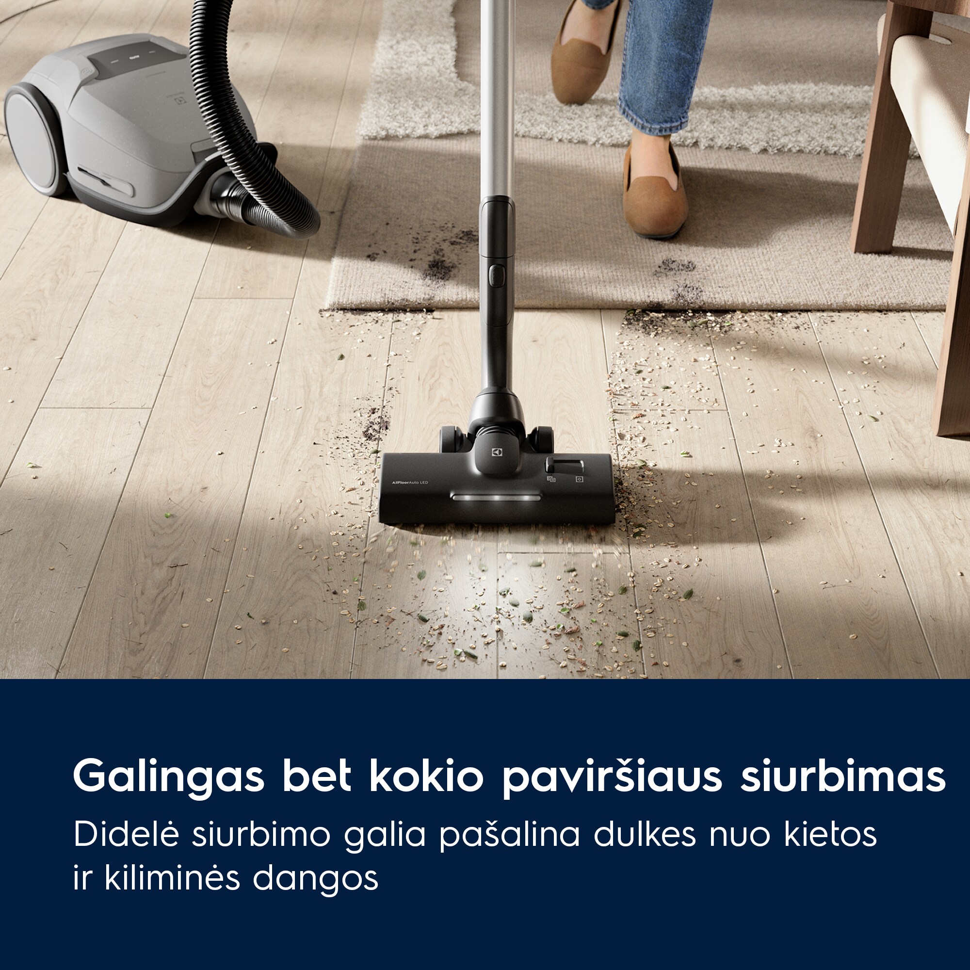 Electrolux - Dulkių siurblys - EB81A3UG