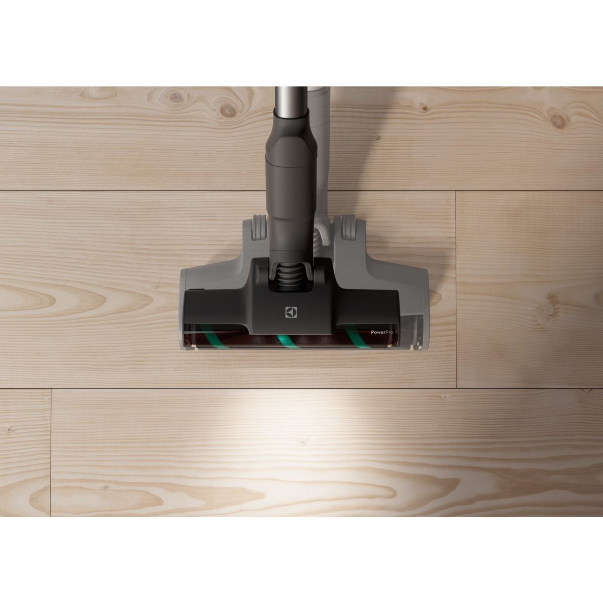Electrolux - Antgalis - ZE166