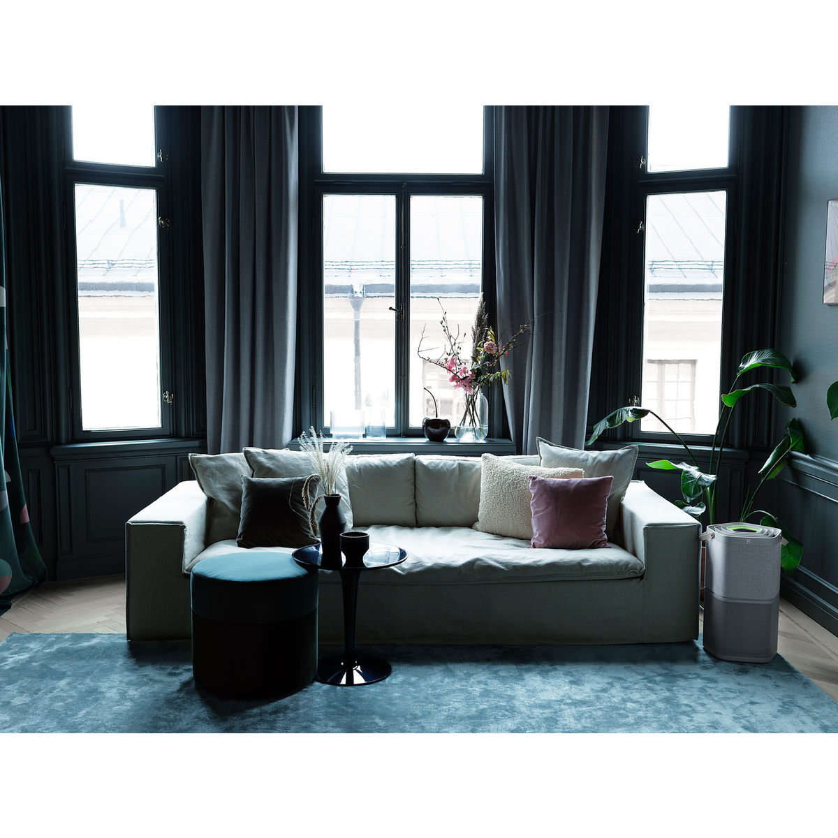 Electrolux - Deguonies oro valytuvas - PA91-404GY