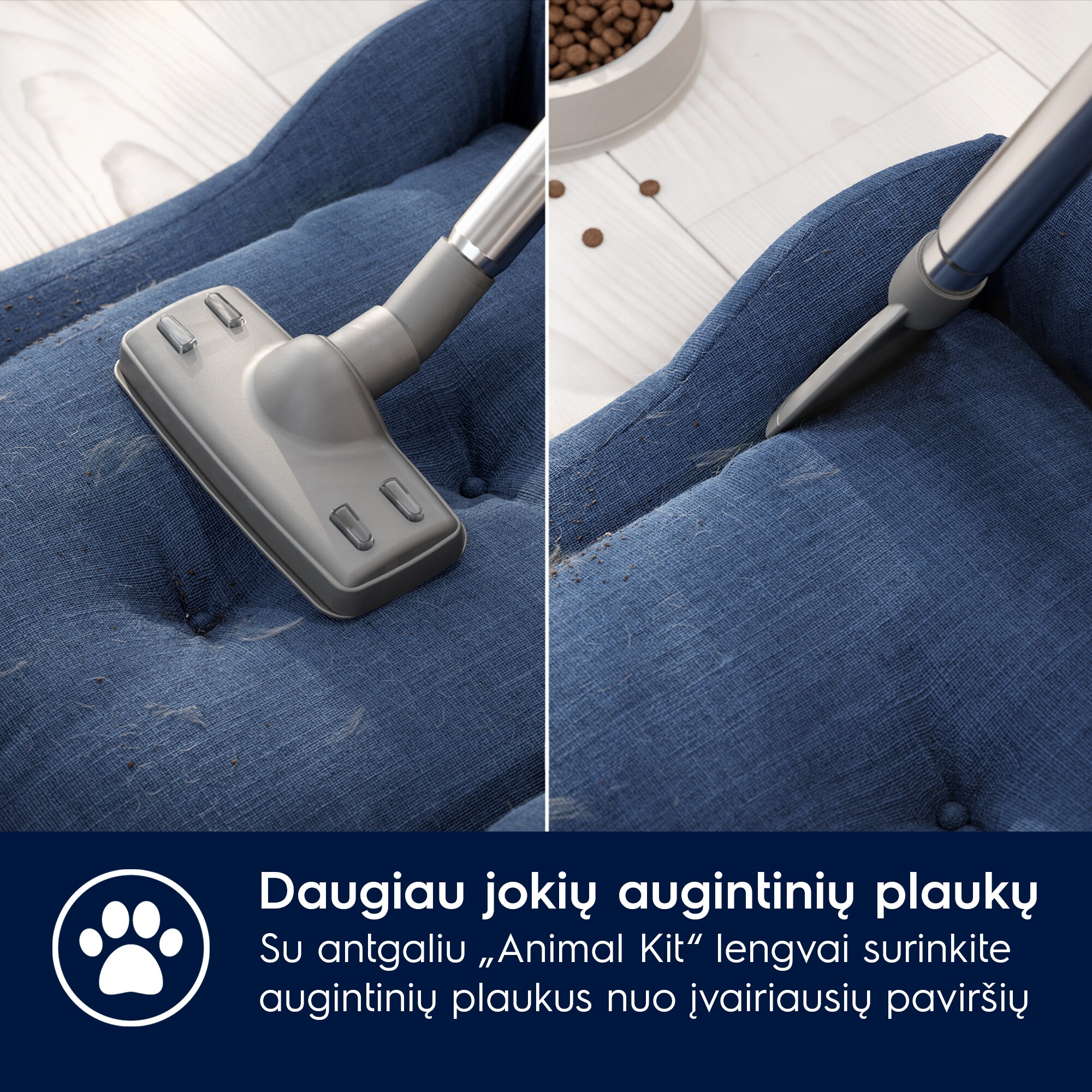 Electrolux - Dulkių siurblys - EB61A5UG