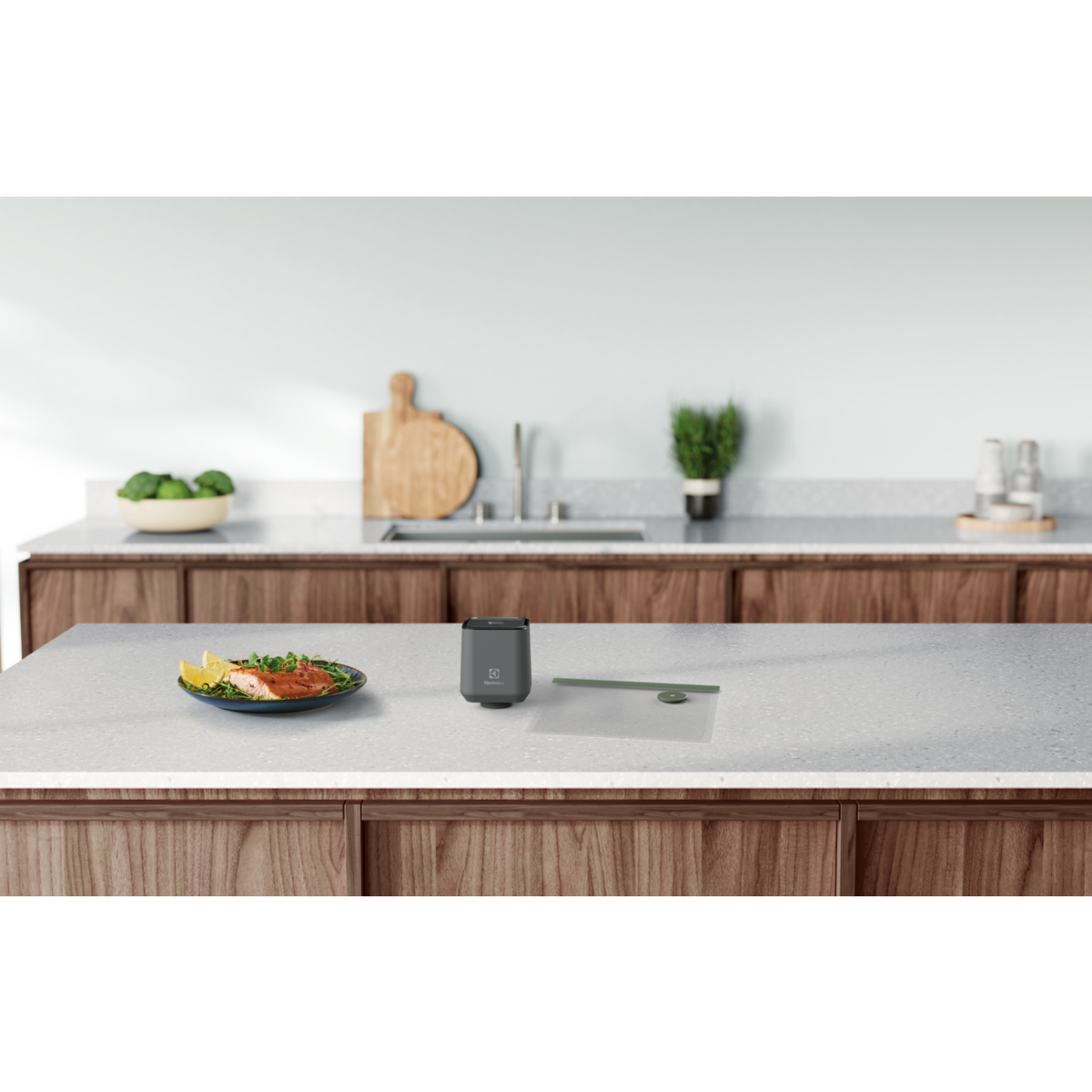 Electrolux - Vakuumatorius - EVSK1