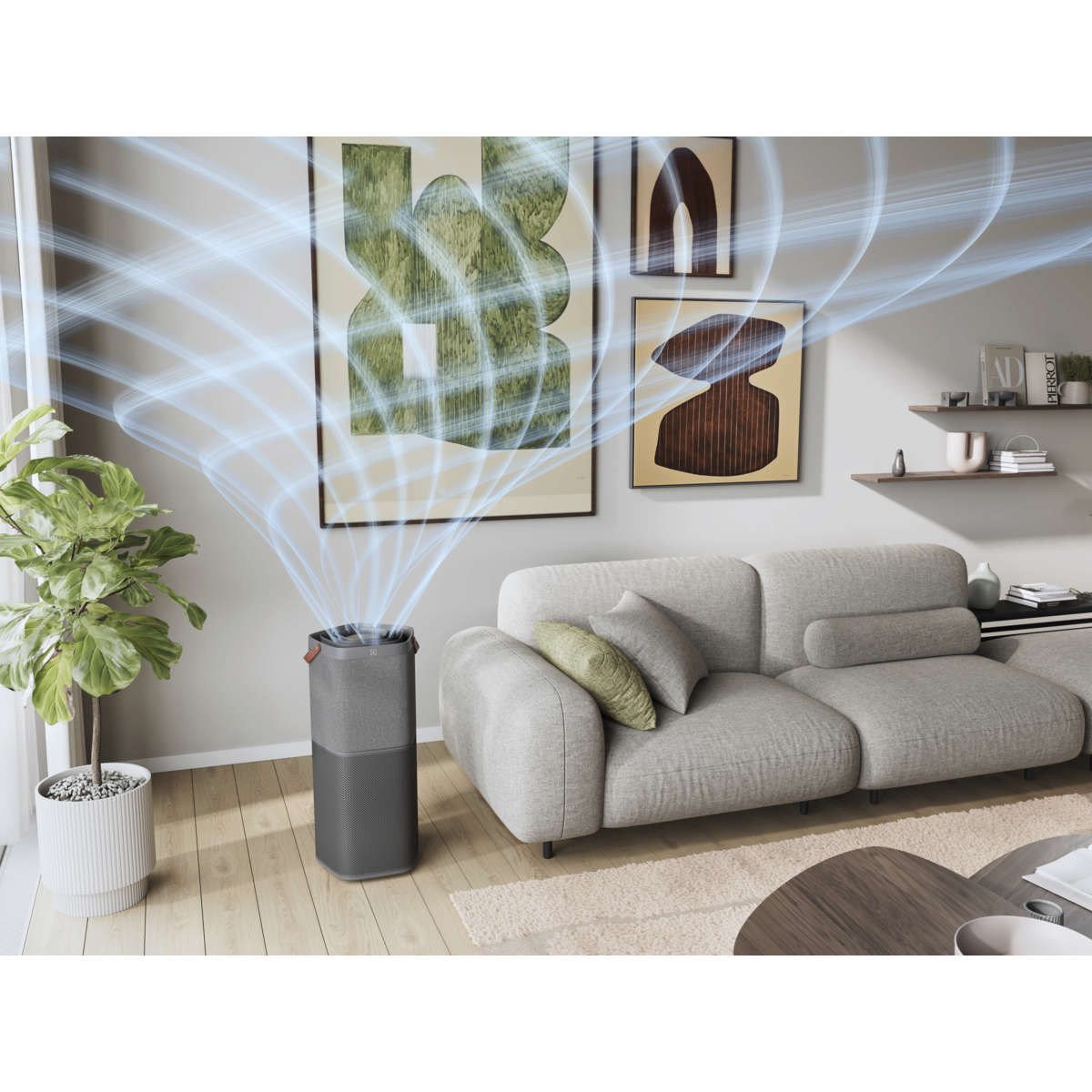 Electrolux - Deguonies oro valytuvas - EPO60771DG