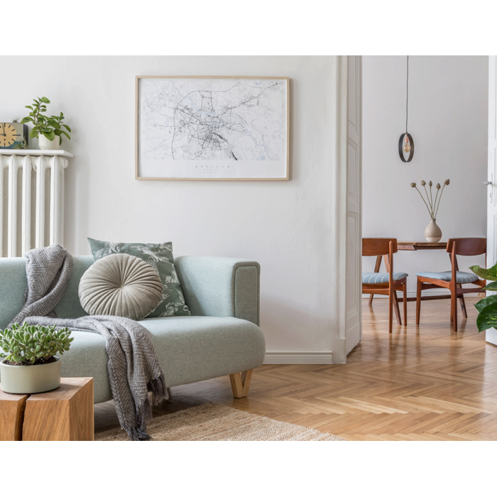 Electrolux - Dulkių maišelis - E210S