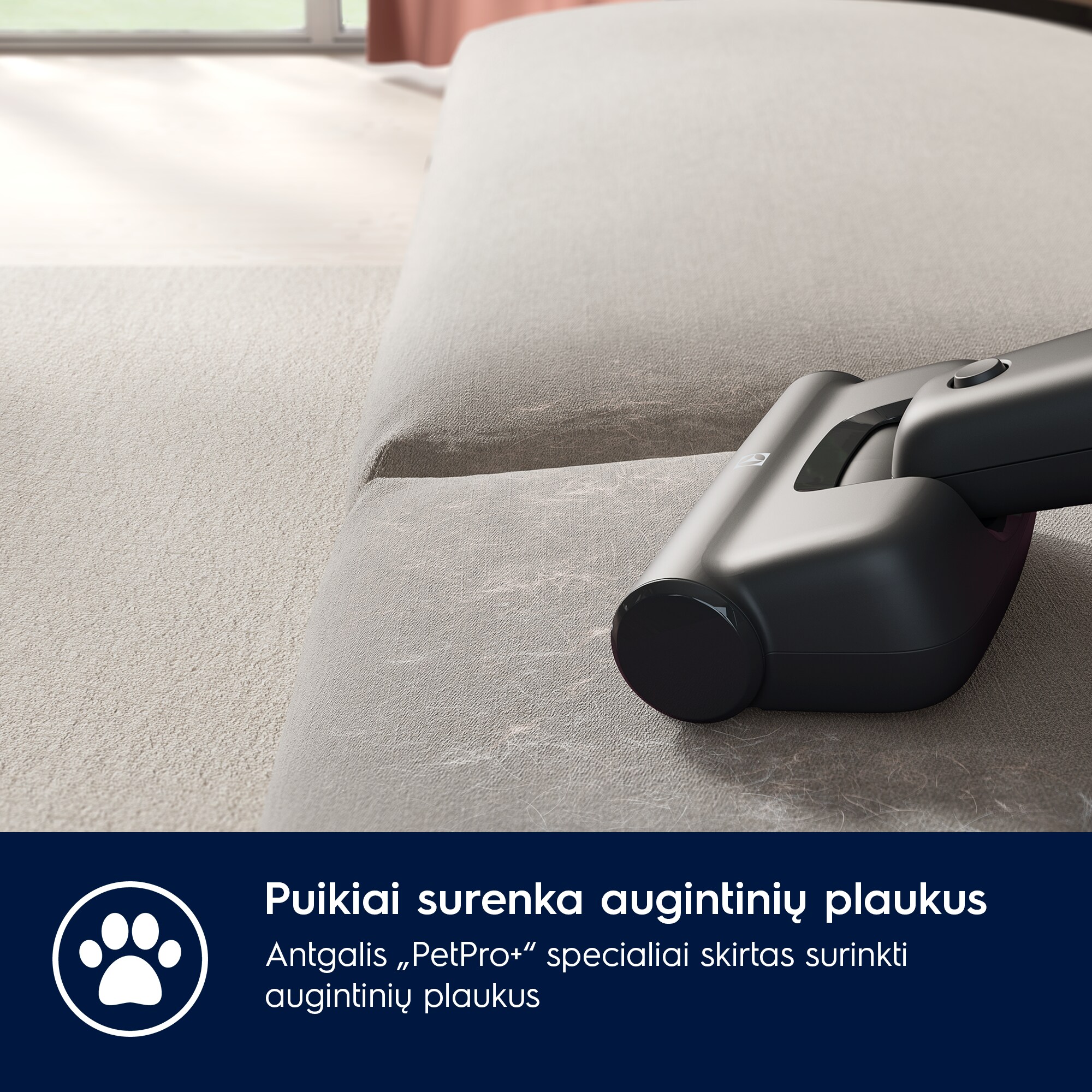 Electrolux - Belaidis dulkių siurblys - ES62AB25UG
