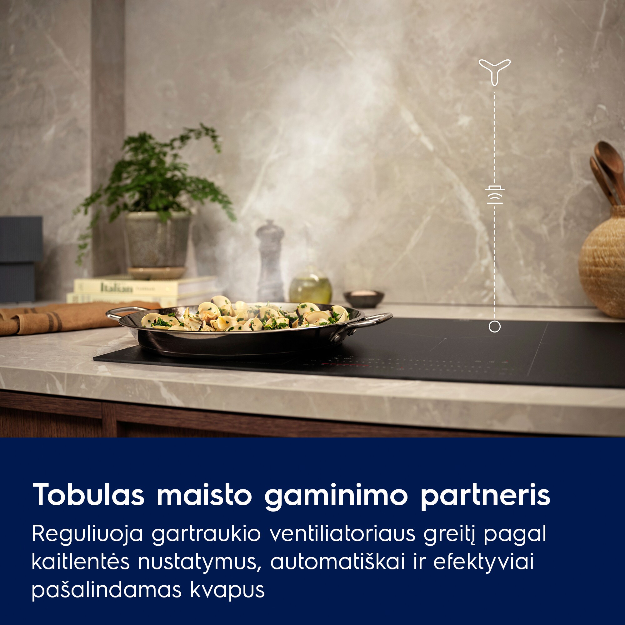 Electrolux - Kamino tipo garų rinktuvas - EFF90560OX