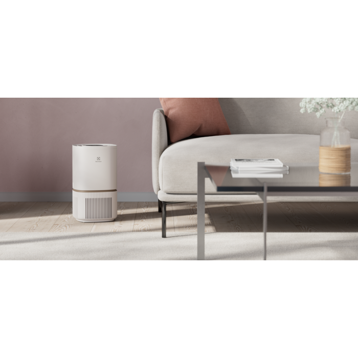 Electrolux - Deguonies oro valytuvas - EPO50351SW