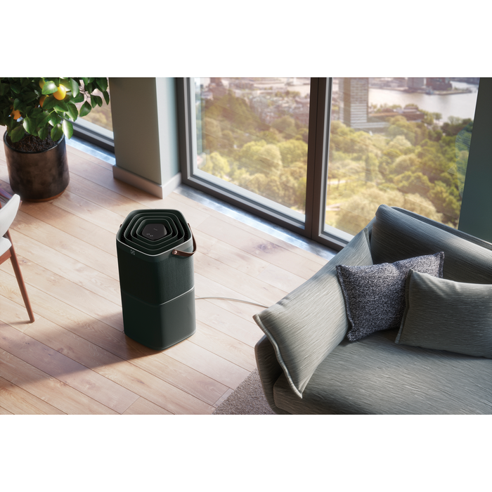 Electrolux - Deguonies oro valytuvas - PA91-404DG