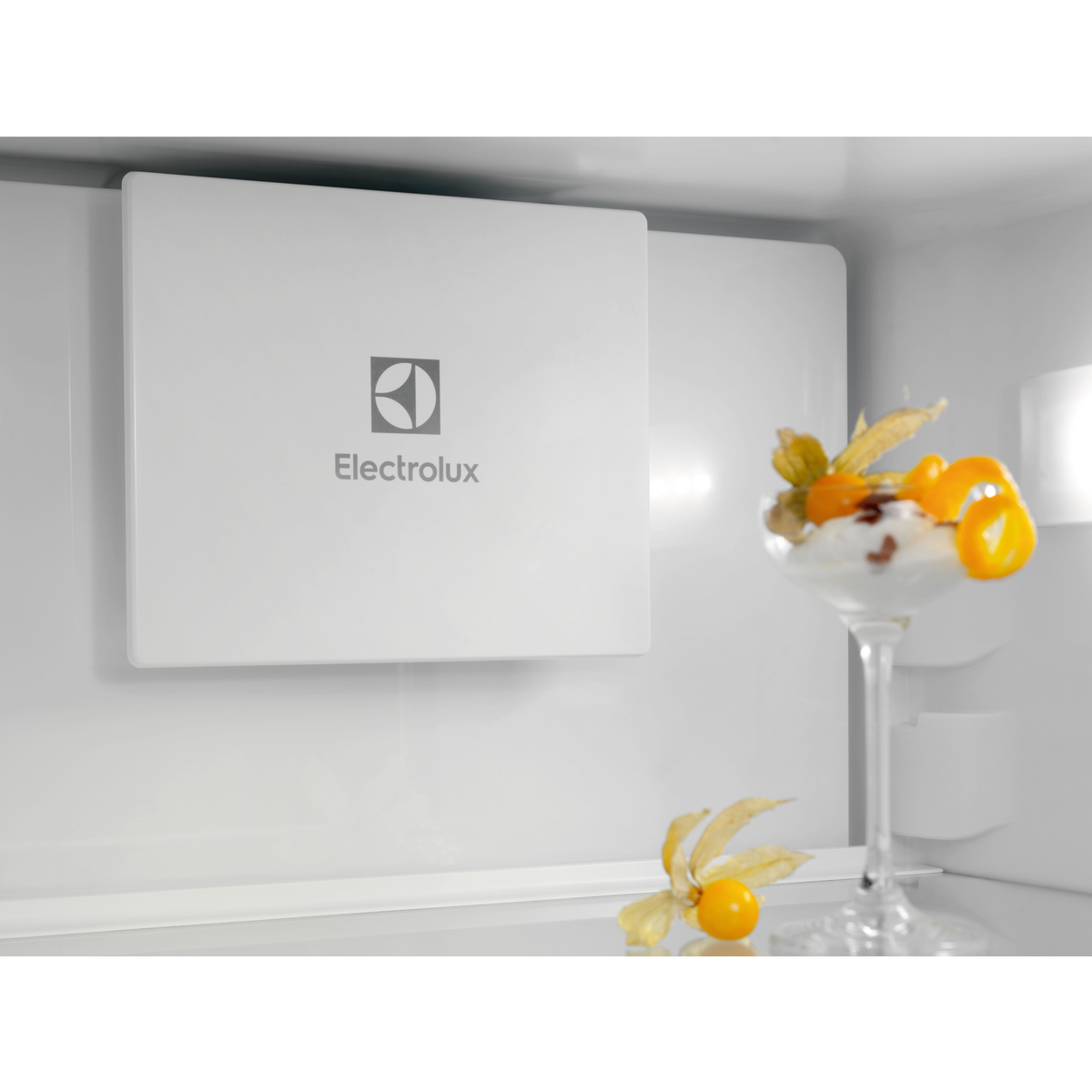 Electrolux - Montuojamas šaldytuvas su šaldikliu - ENTMUSP8S