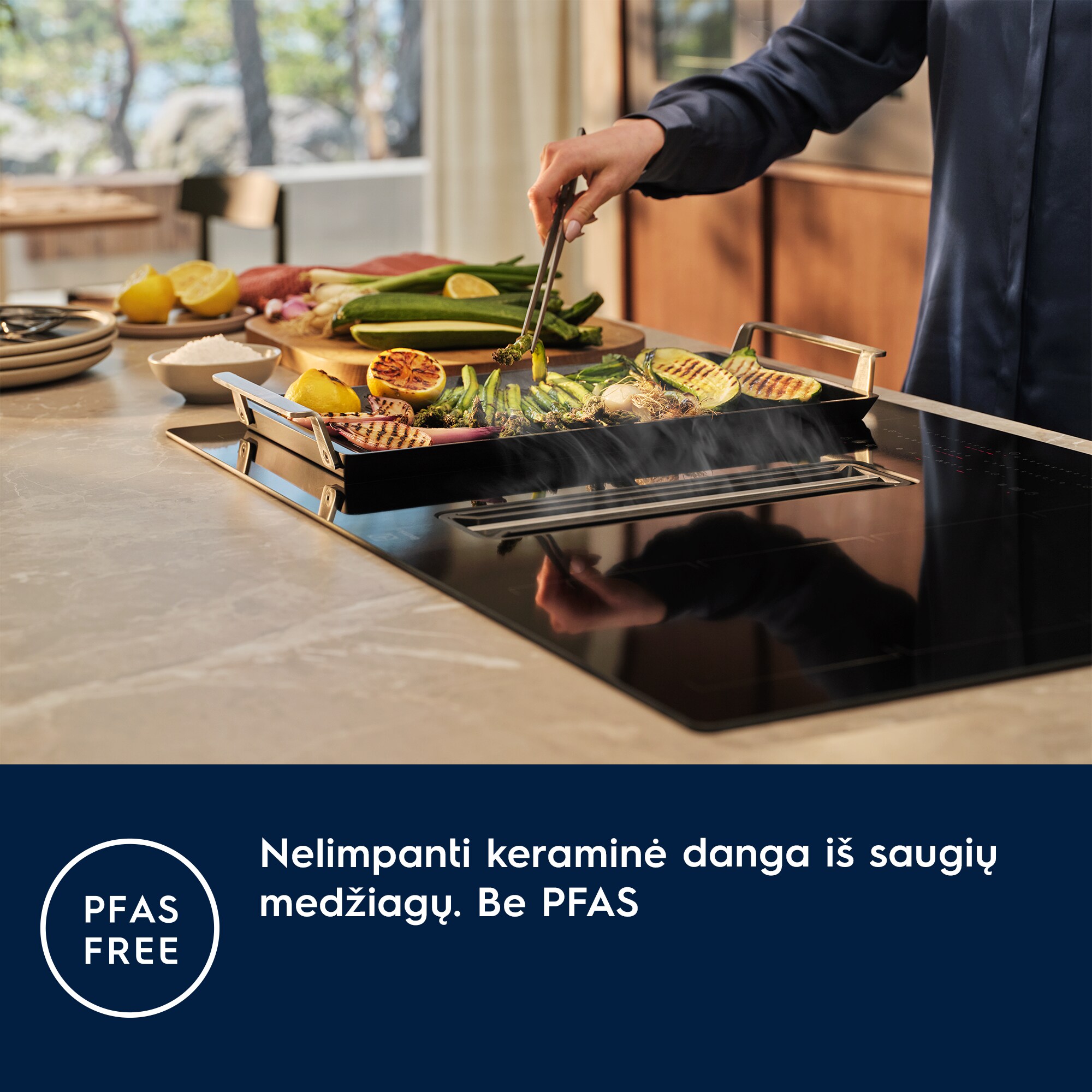 Electrolux - Grilis "Plancha" - E9HHPG11