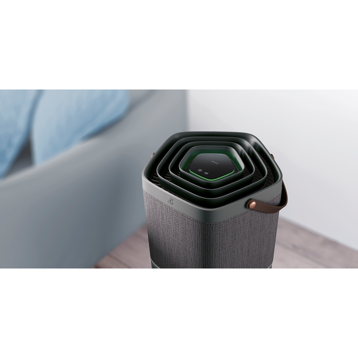 Electrolux - Deguonies oro valytuvas - PA91-604DG