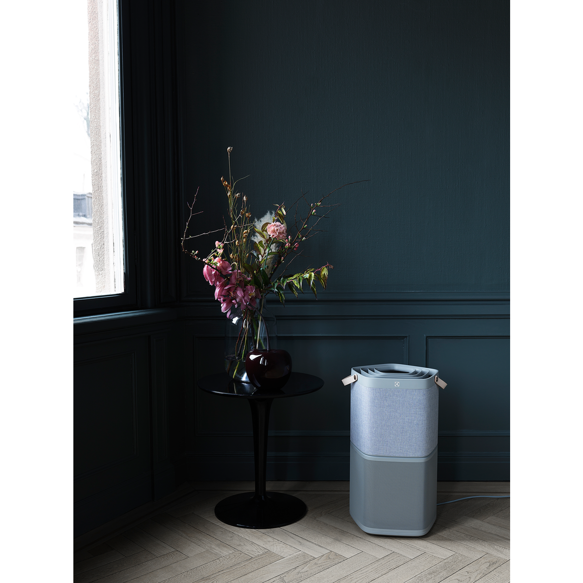 Electrolux - Deguonies oro valytuvas - PA91-404GY
