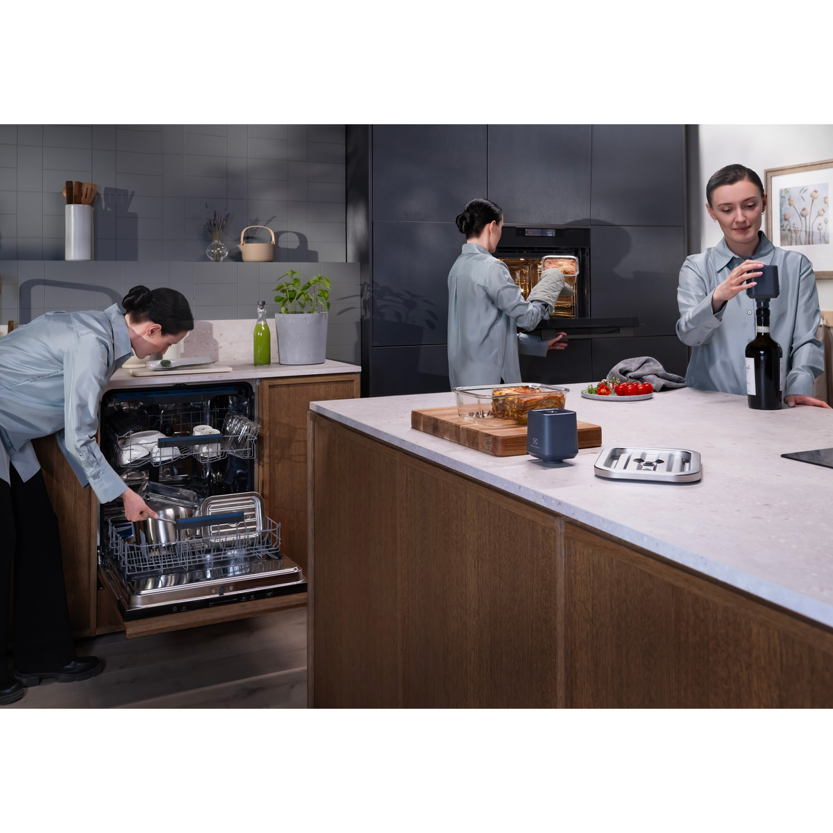 Electrolux - Vakuumatorius - EVGB1
