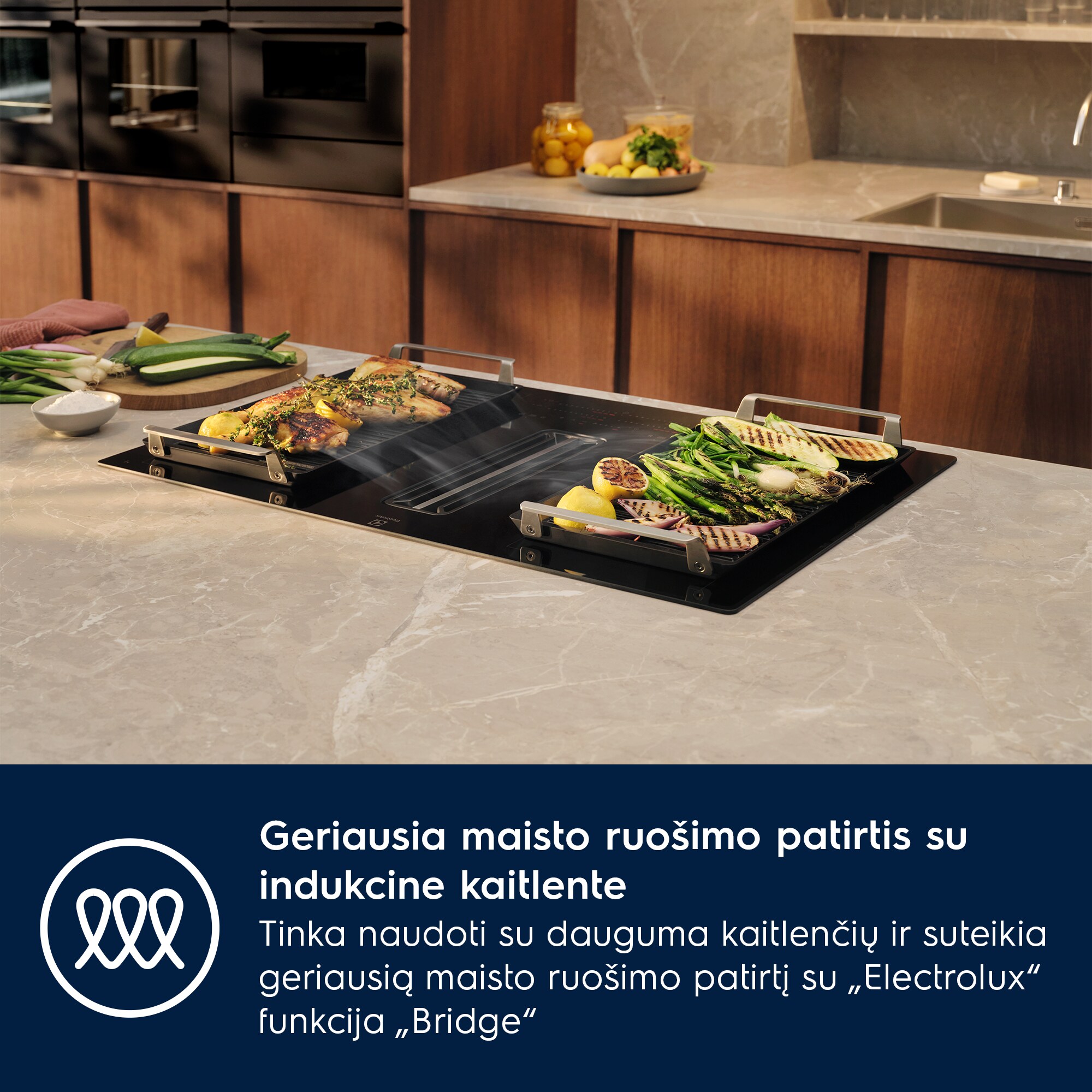 Electrolux - Grilis "Plancha" - E9HHPG11