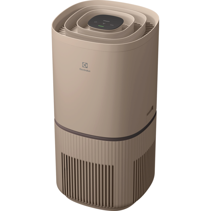 Electrolux - Deguonies oro valytuvas - EPO50571BG