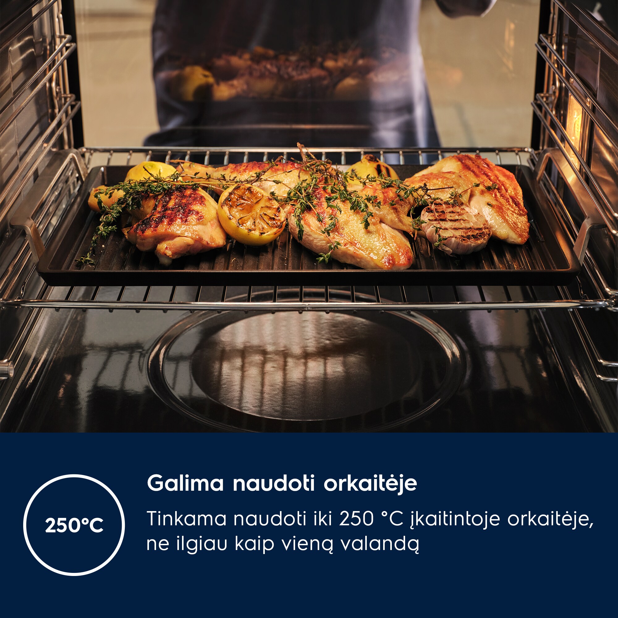 Electrolux - Grilis "Plancha" - E9HHPG11