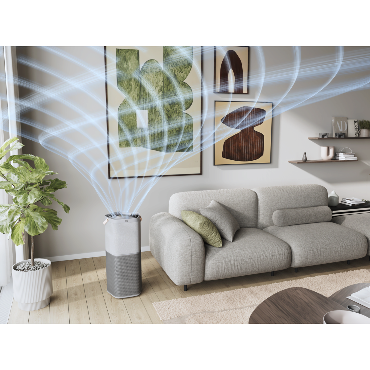 Electrolux - Deguonies oro valytuvas - EPO60771UG